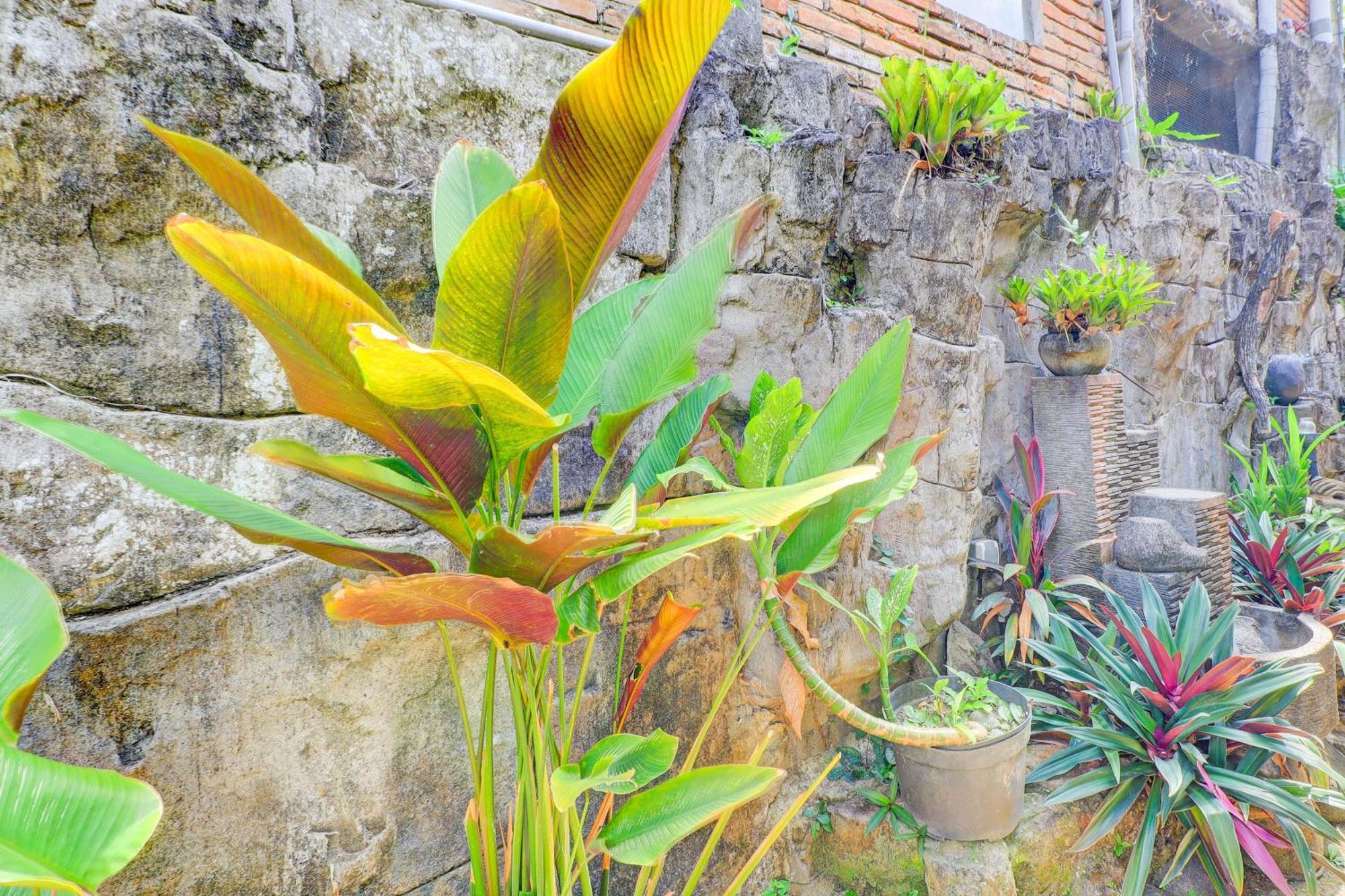 Ubud Asri Homestay Bagian luar foto